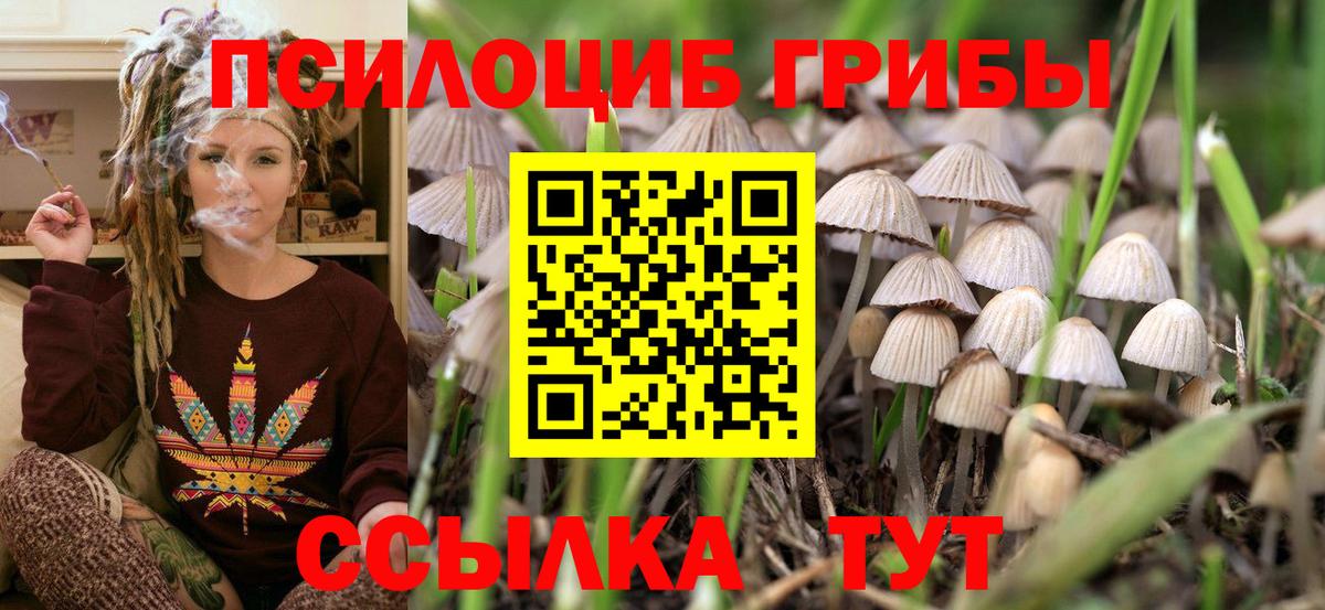 Галлюциногенные грибы MAGIC MUSHROOMS  Вход с VPN  Надым 